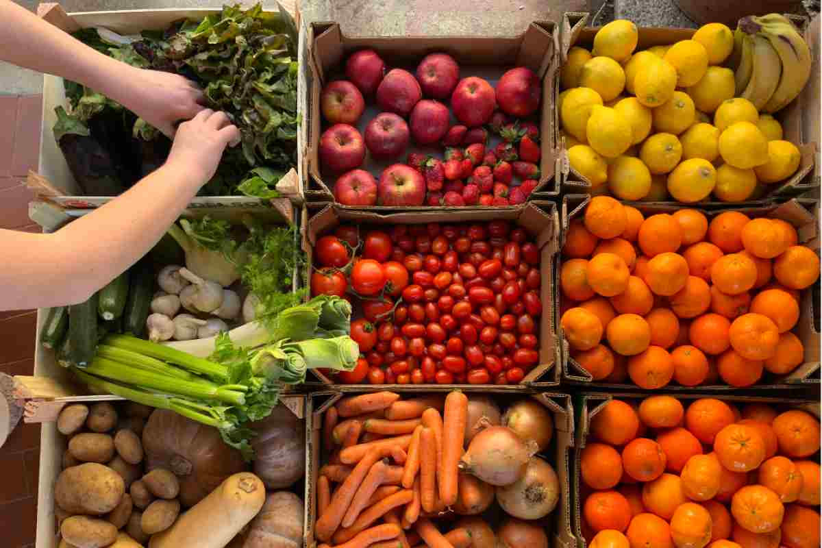 Frutta e verdura