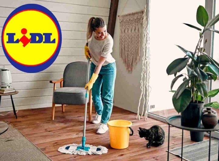 Offerta imperdibile LIDL per far brillare pavimenti