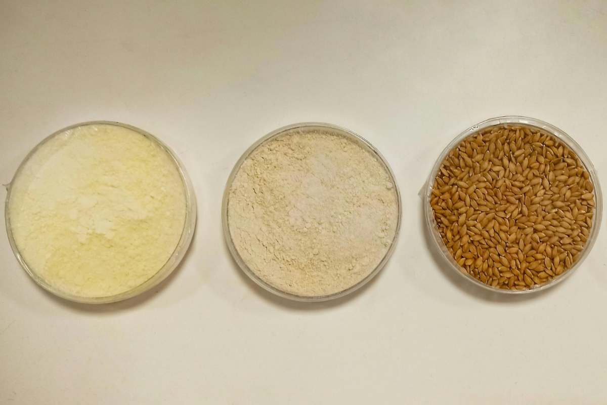 No, gluten free non significa più salutare