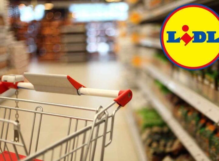 Lidl, regalo a tutti i bambini per l'estate