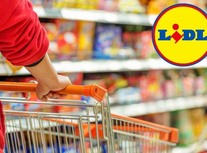 Spesa raddoppiata e prezzi dimezzati con le super offerte Lidl