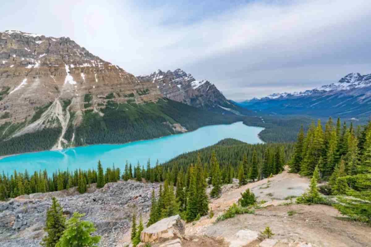 Lago Peyto in Canada