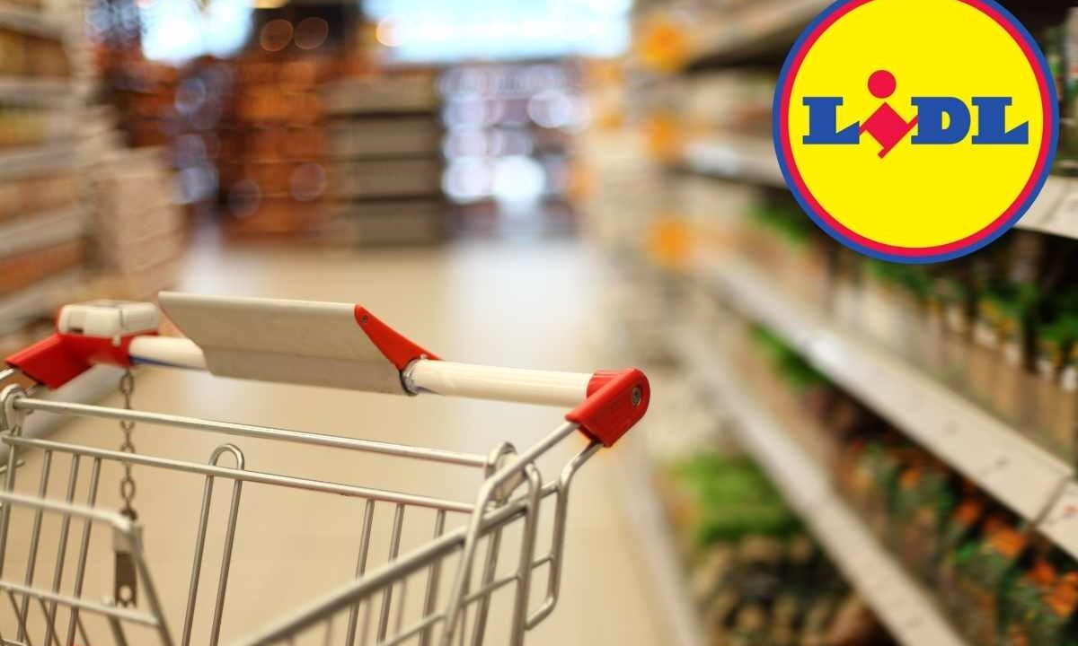 Weekend all’aria aperta, le offerte Lidl che ti fanno risparmiare sul campeggio