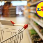 Weekend all’aria aperta, le offerte Lidl che ti fanno risparmiare sul campeggio