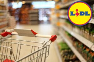 Weekend all’aria aperta, le offerte Lidl che ti fanno risparmiare sul campeggio