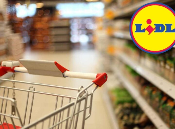Weekend all’aria aperta, le offerte Lidl che ti fanno risparmiare sul campeggio